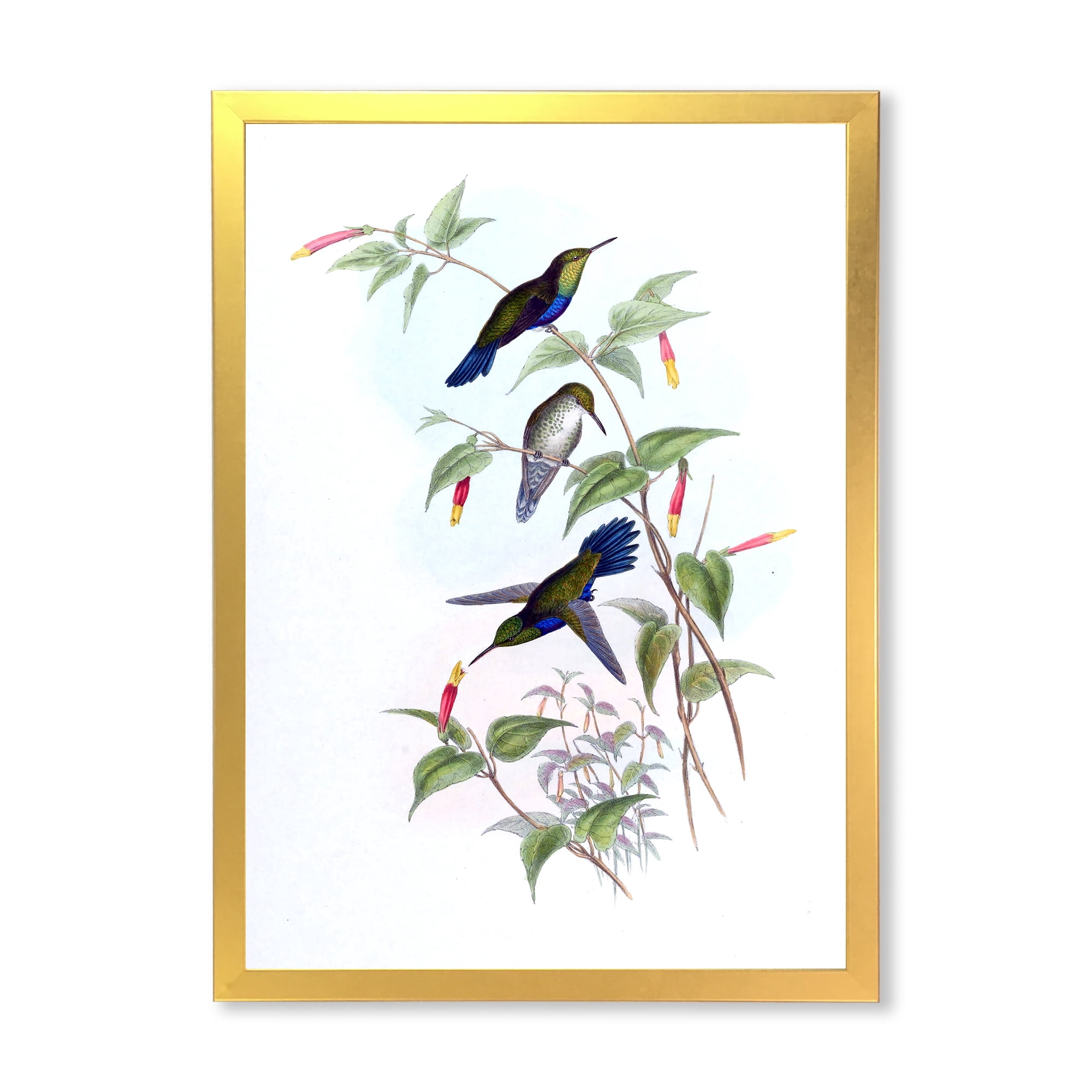 Designart 'Ancient Hummingbird I' Traditional Framed Art Print