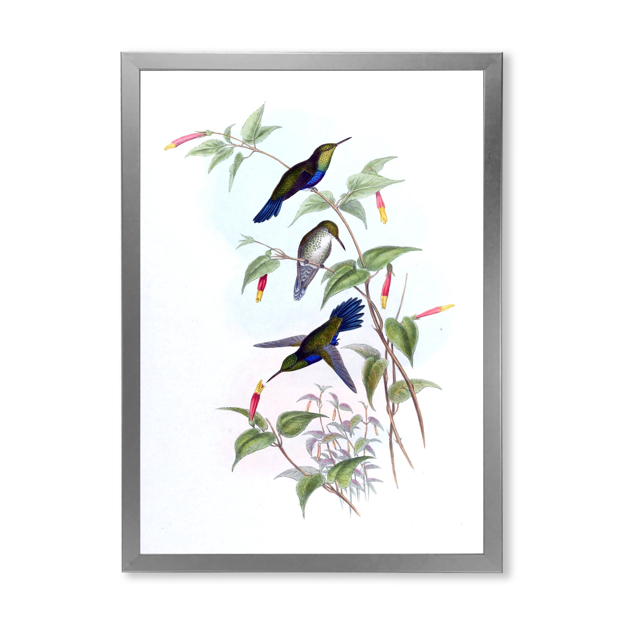 Designart 'Ancient Hummingbird I' Traditional Framed Art Print