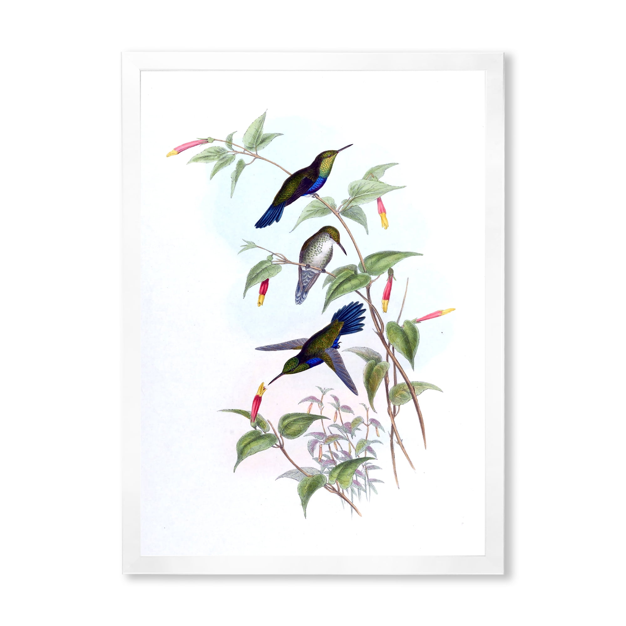 Designart 'Ancient Hummingbird I' Traditional Framed Art Print