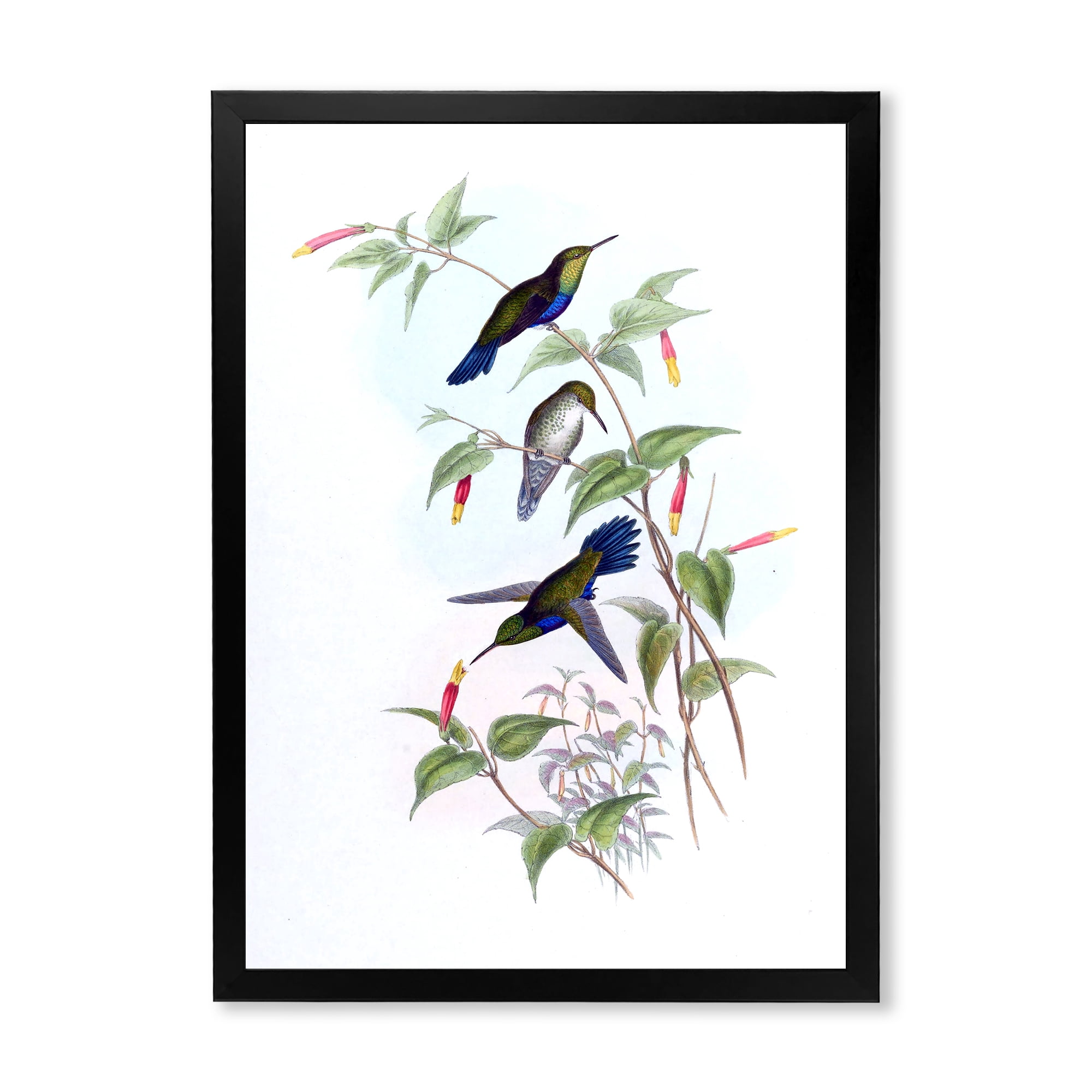 Designart 'Ancient Hummingbird I' Traditional Framed Art Print