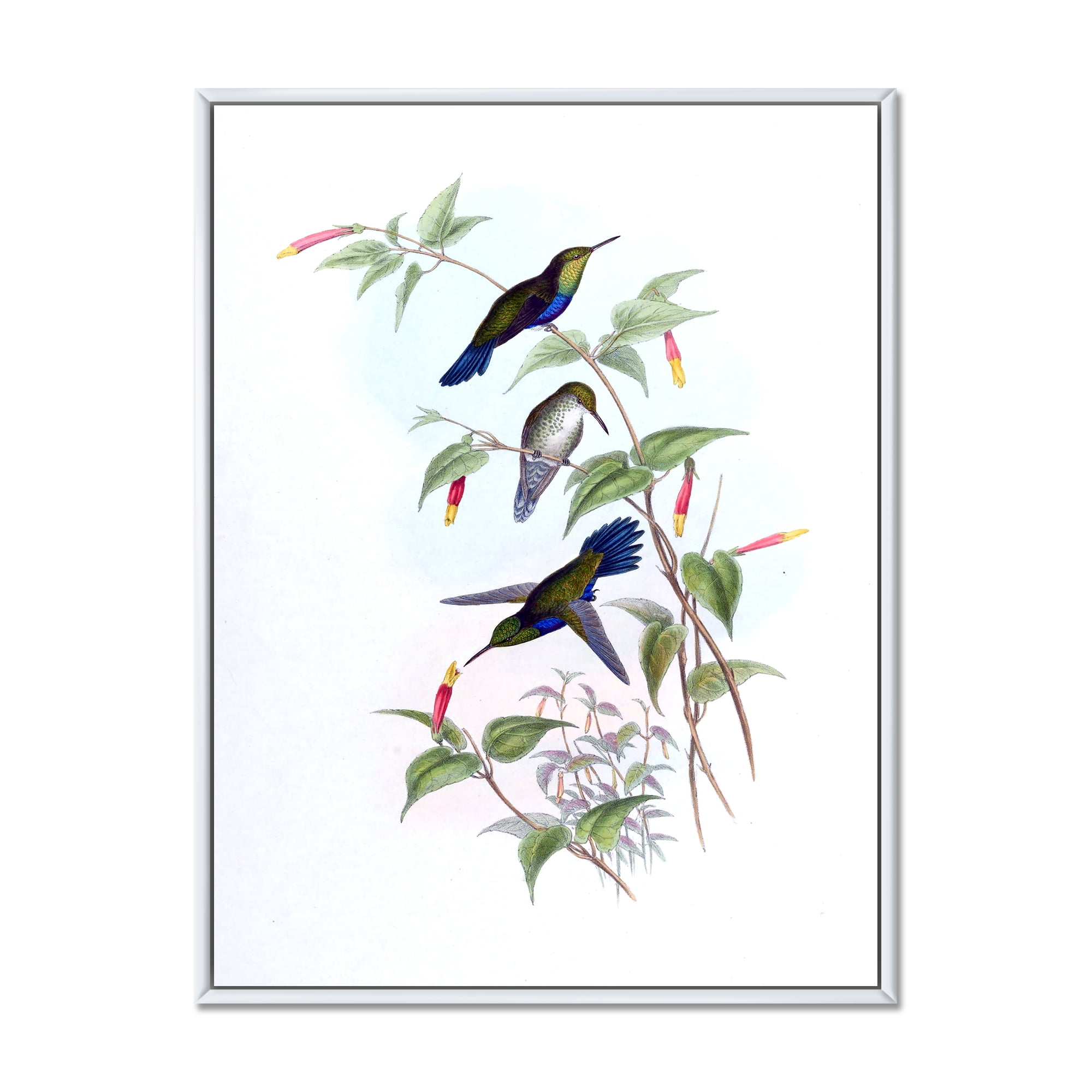 Designart 'Ancient Hummingbird I' Traditional Framed Canvas Wall Art Print