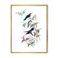 thumbnail image 1 of Designart 'Ancient Hummingbird I' Traditional Framed Canvas Wall Art Print, 1 of 5