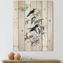 Designart 'Ancient Hummingbird I' Traditional Print on Natural Pine Wood