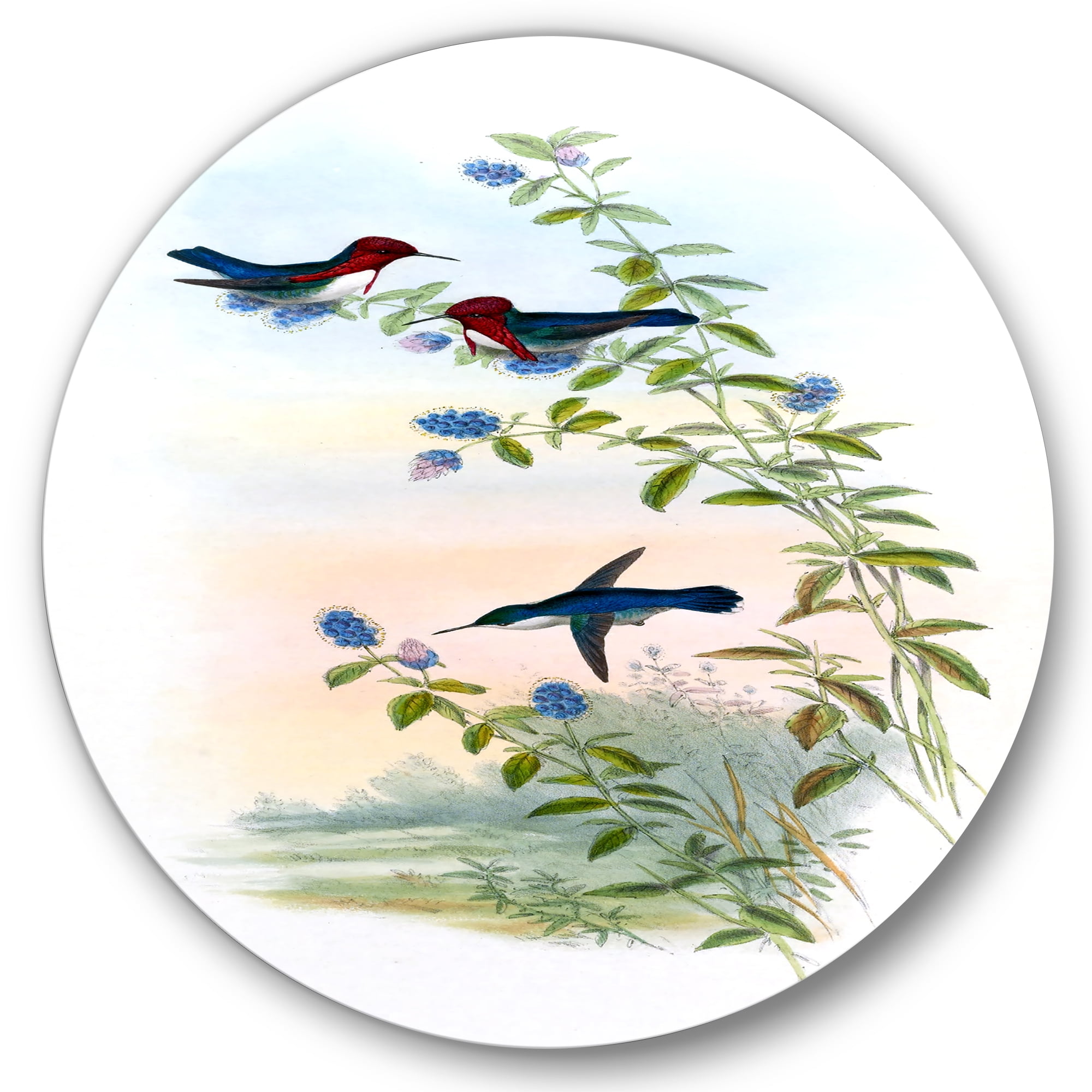 Designart 'Ancient Hummingbird II' Traditional Circle Metal Wall Art 11x11 - Disc of 11