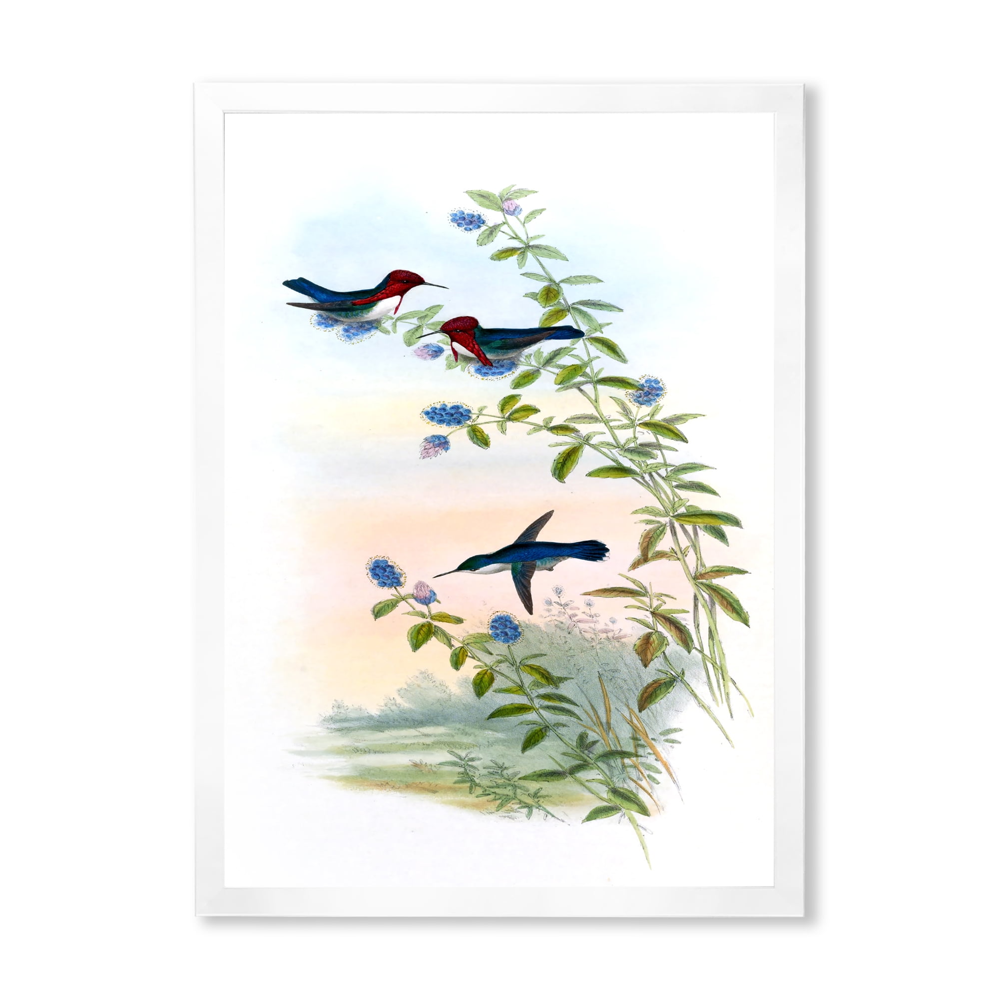 Designart 'Ancient Hummingbird II' Traditional Framed Art Print