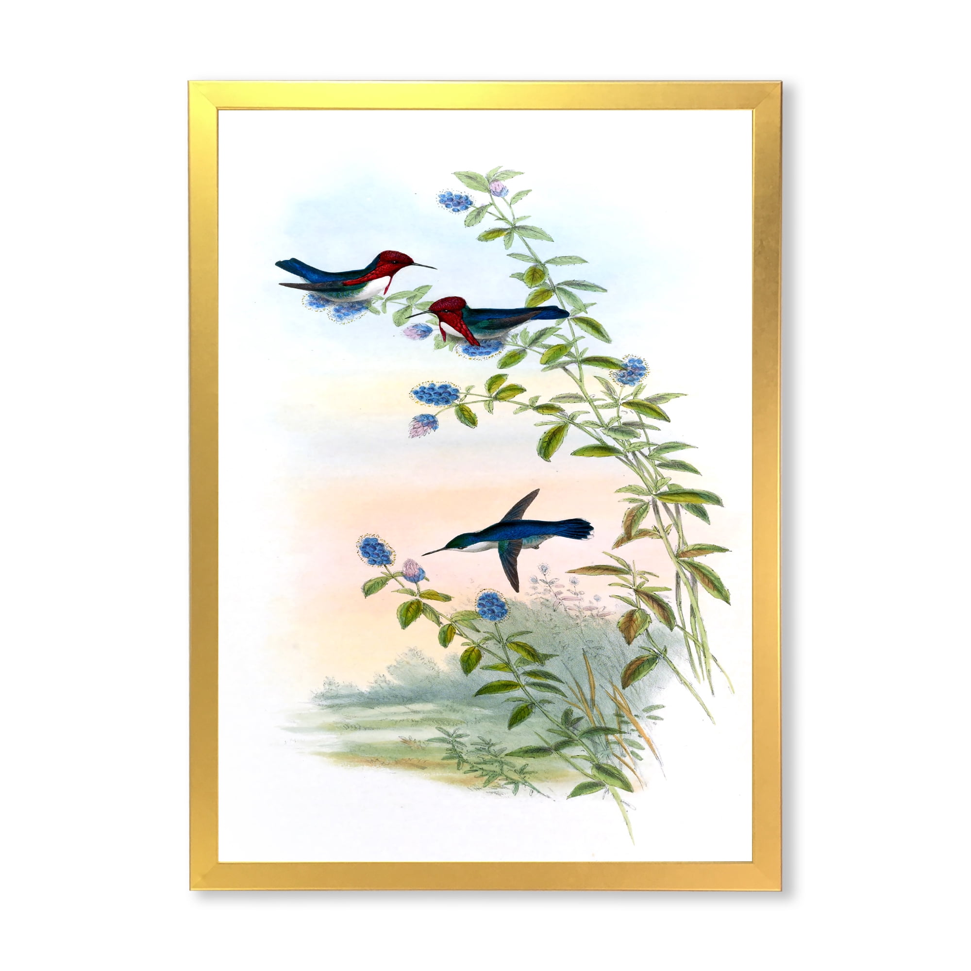 Designart 'Ancient Hummingbird II' Traditional Framed Art Print