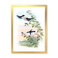 thumbnail image 1 of Designart 'Ancient Hummingbird II' Traditional Framed Art Print, 1 of 4