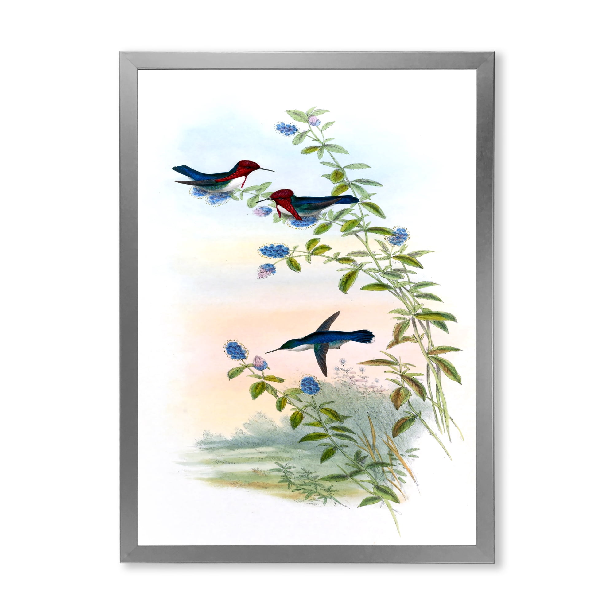 Designart 'Ancient Hummingbird II' Traditional Framed Art Print