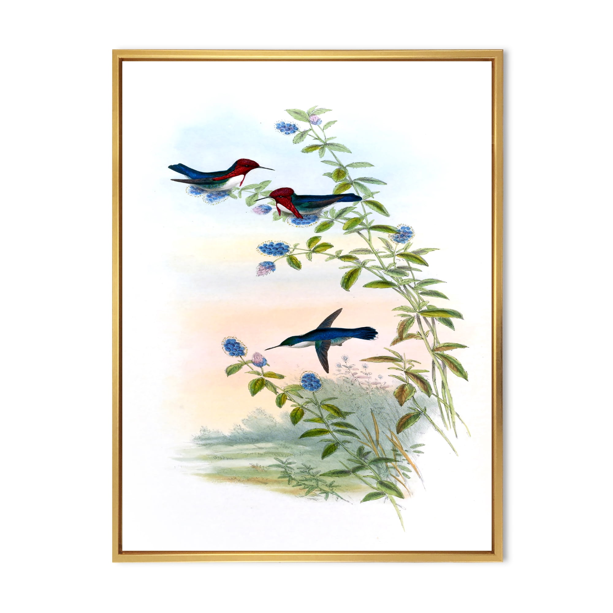 Designart 'Ancient Hummingbird II' Traditional Framed Canvas Wall Art Print
