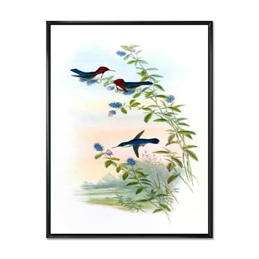 Designart 'Ancient Hummingbird II' Traditional Framed Canvas Wall Art Print