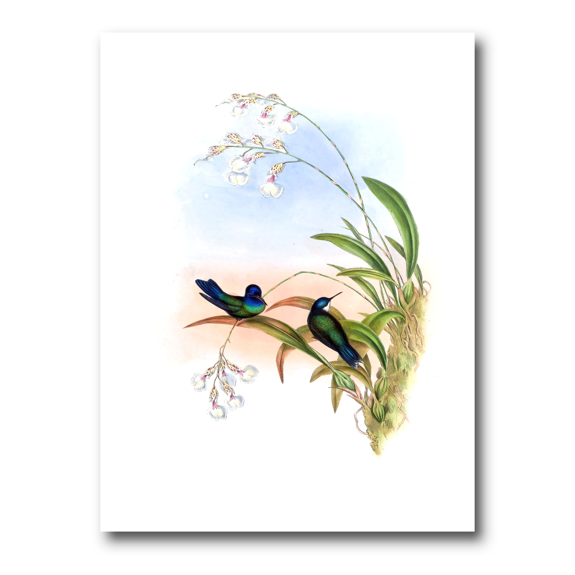 Designart ' Ancient Hummingbird III ' Traditional Canvas Wall Art Print