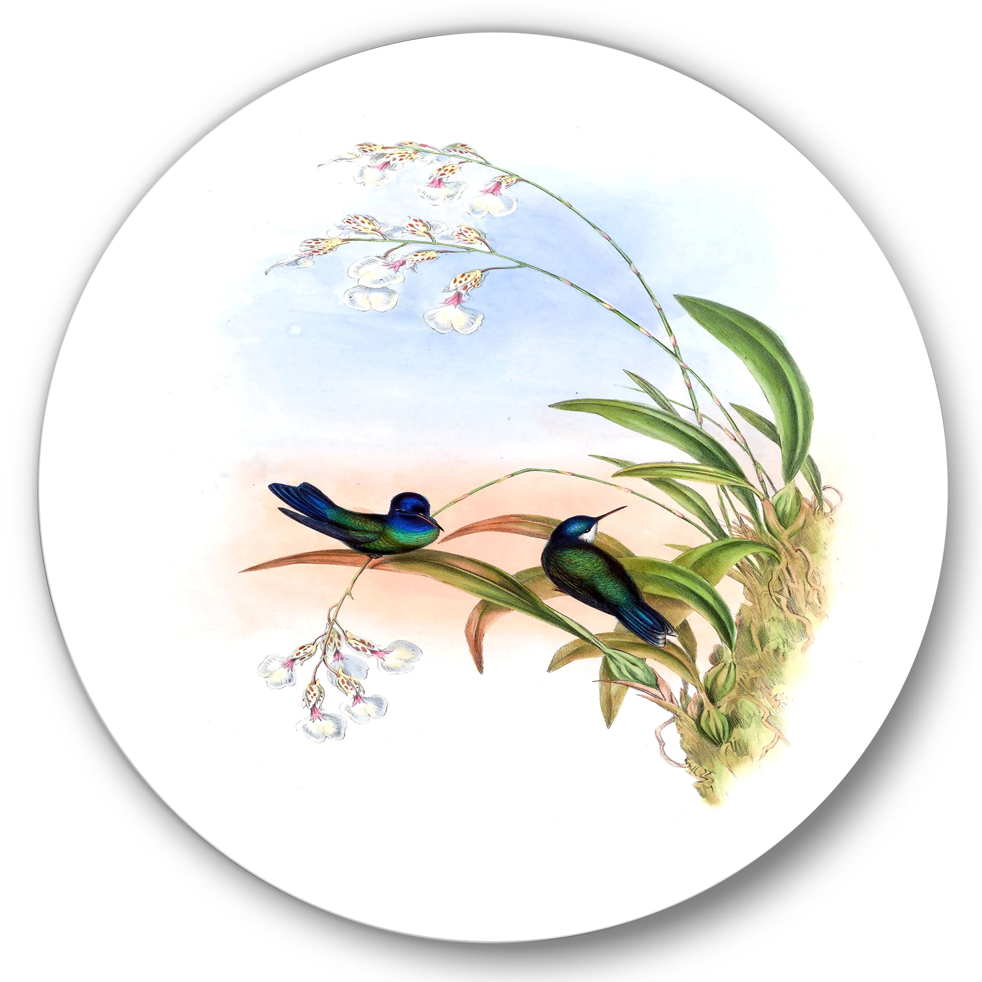 Designart 'Ancient Hummingbird III' Traditional Circle Metal Wall Art 11x11 - Disc of 11