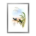 thumbnail image 1 of Designart 'Ancient Hummingbird III' Traditional Framed Art Print, 1 of 4