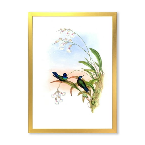 Designart 'Ancient Hummingbird III' Traditional Framed Art Print