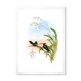 thumbnail image 1 of Designart 'Ancient Hummingbird III' Traditional Framed Art Print, 1 of 4
