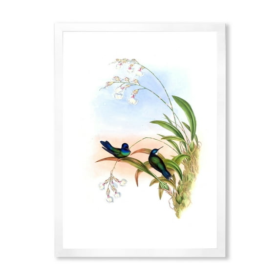 Designart 'Ancient Hummingbird III' Traditional Framed Art Print