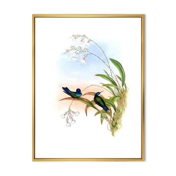 Designart 'Ancient Hummingbird III' Traditional Framed Canvas Wall Art Print