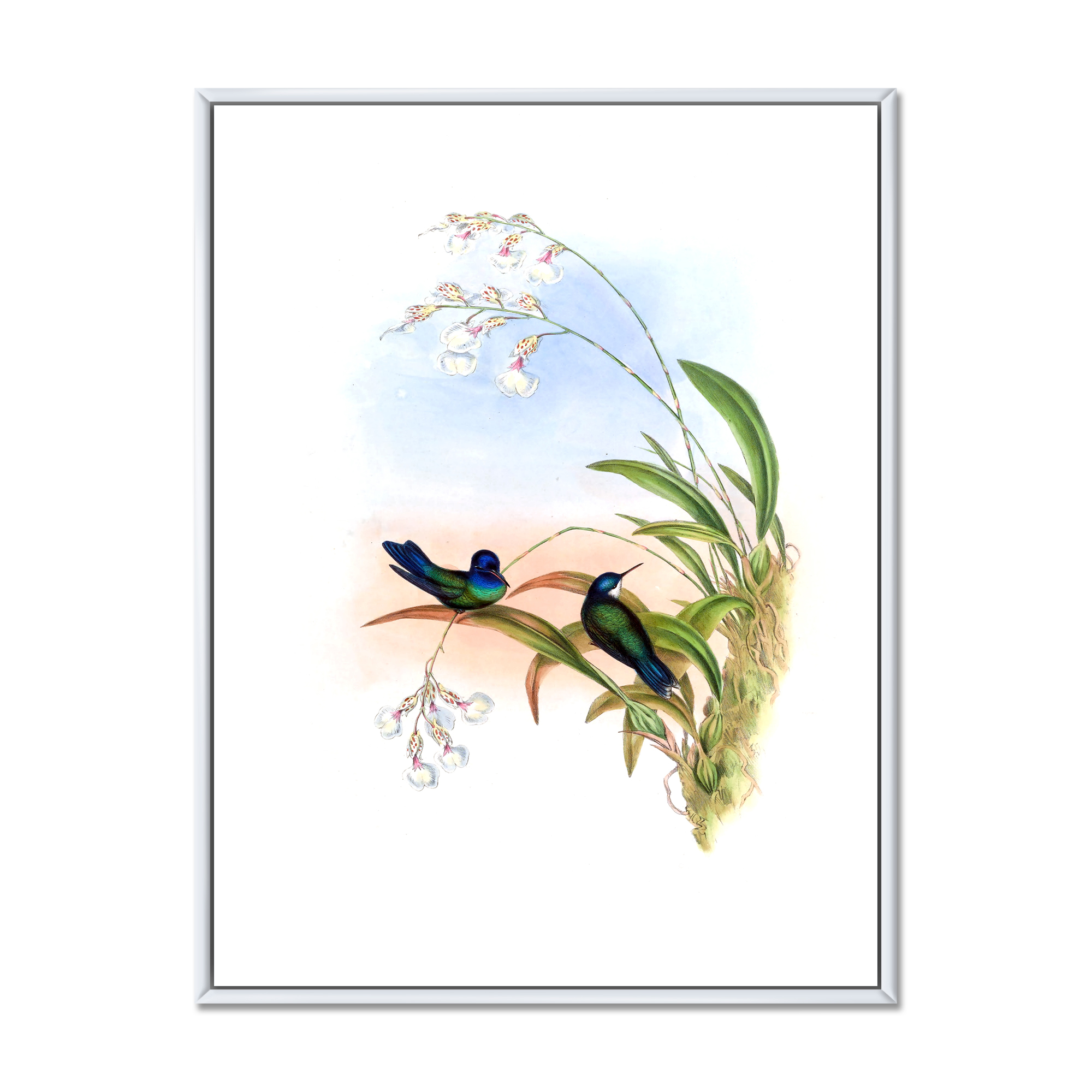 Designart 'Ancient Hummingbird III' Traditional Framed Canvas Wall Art Print