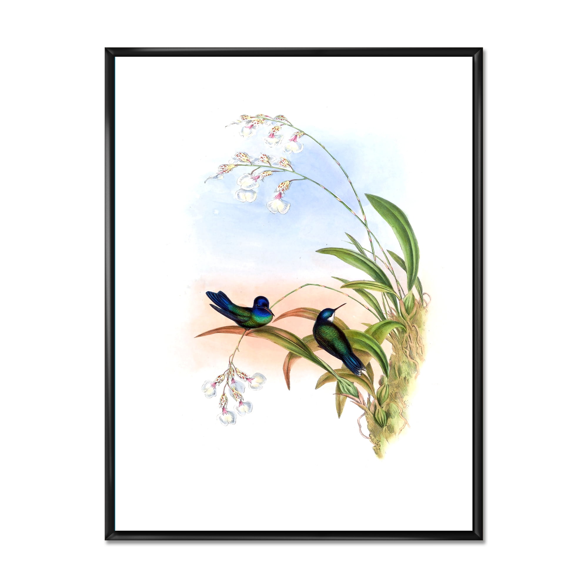 Designart 'Ancient Hummingbird III' Traditional Framed Canvas Wall Art Print