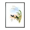 thumbnail image 1 of Designart 'Ancient Hummingbird III' Traditional Framed Canvas Wall Art Print, 1 of 5