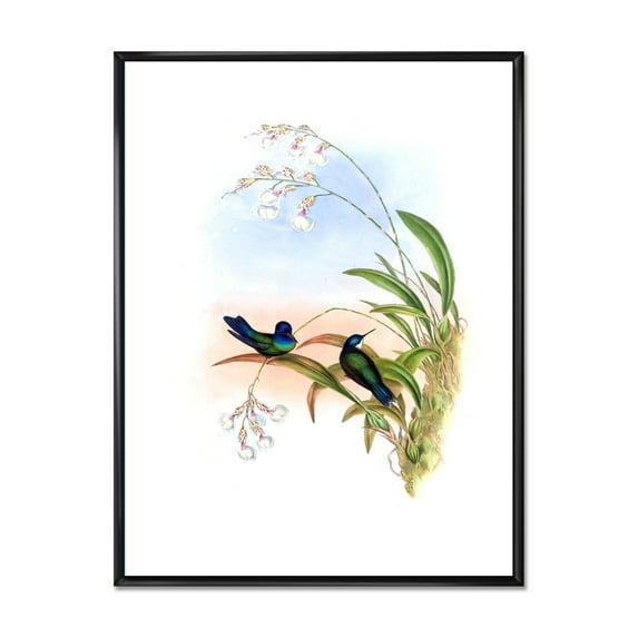 Designart 'Ancient Hummingbird III' Traditional Framed Canvas Wall Art Print
