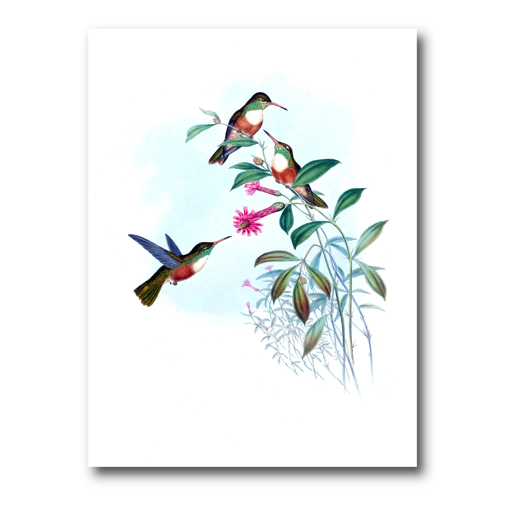 Designart ' Ancient Hummingbird IV ' Traditional Canvas Wall Art Print