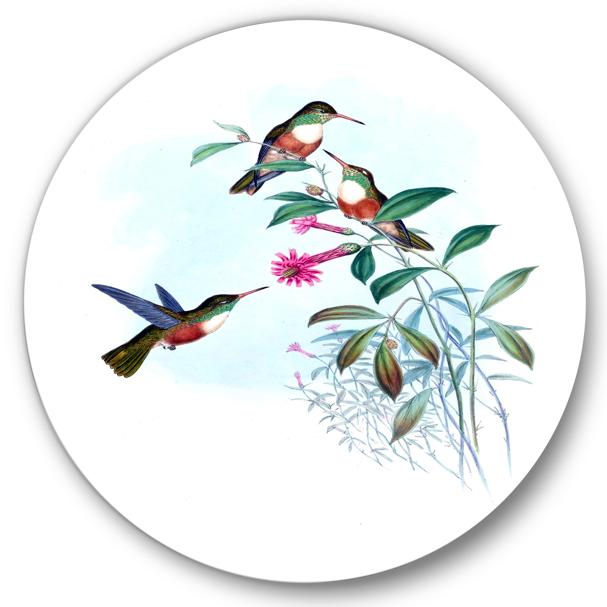 Designart 'Ancient Hummingbird IV' Traditional Circle Metal Wall Art 23x23 - Disc of 23
