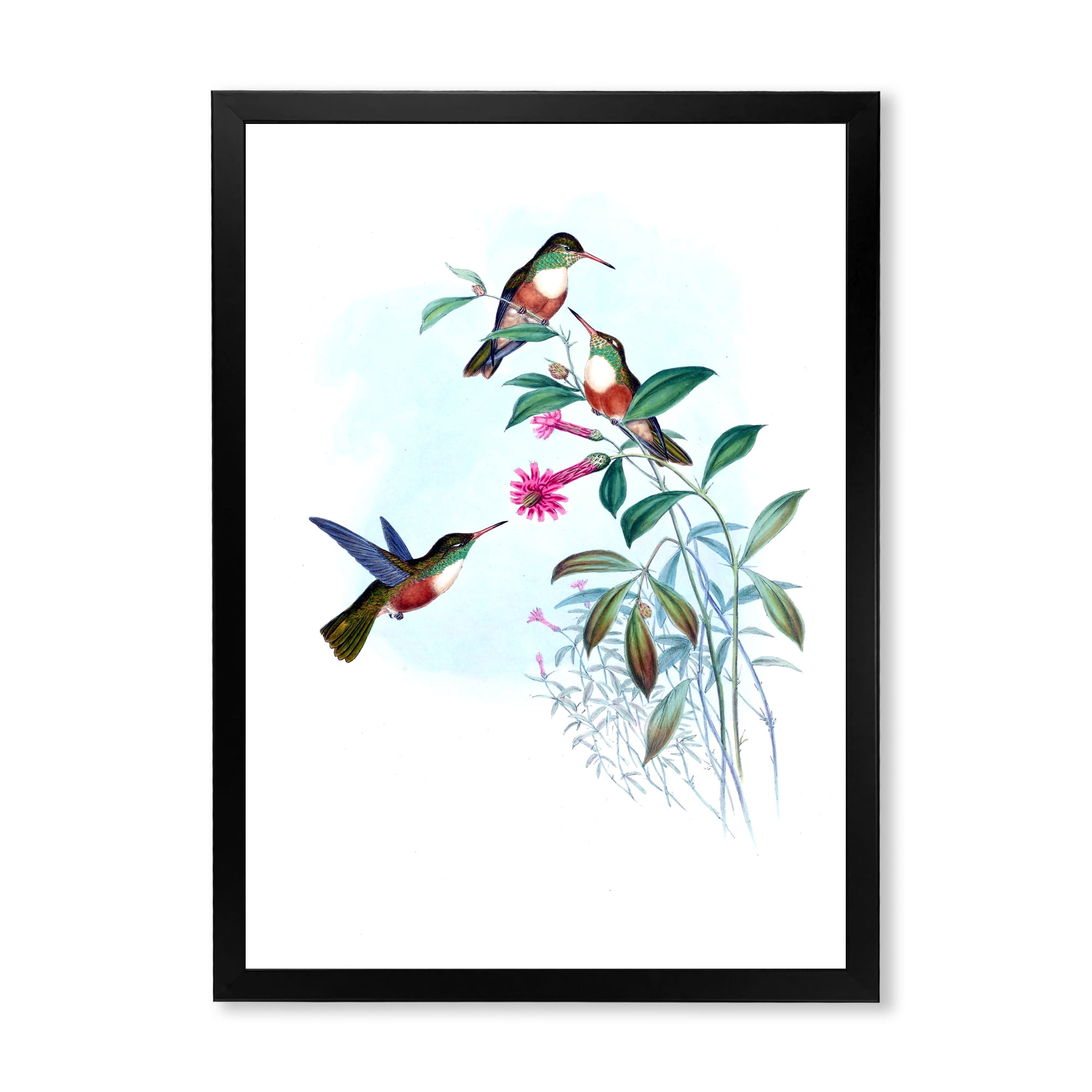 Designart 'Ancient Hummingbird IV' Traditional Framed Art Print