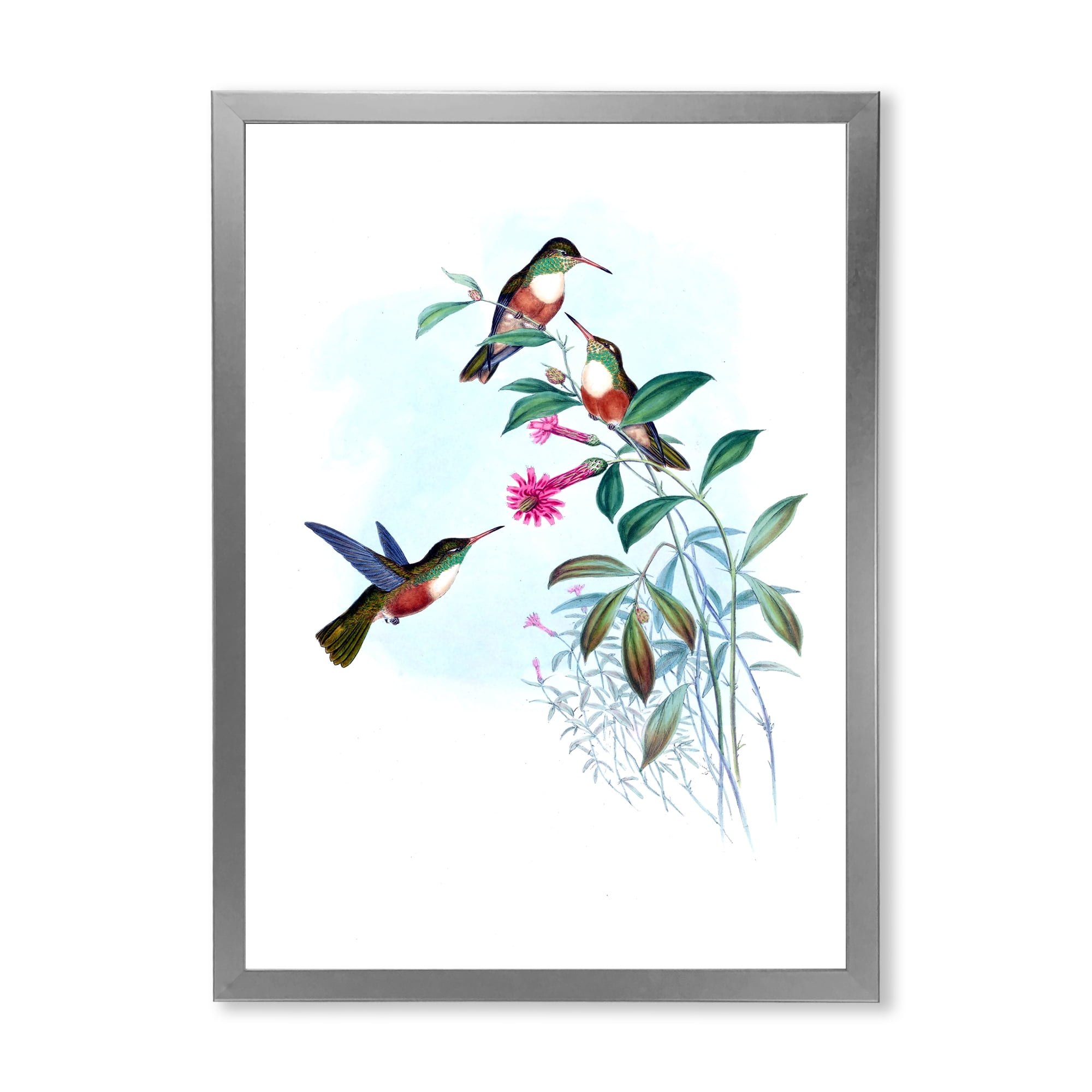 Designart 'Ancient Hummingbird IV' Traditional Framed Art Print