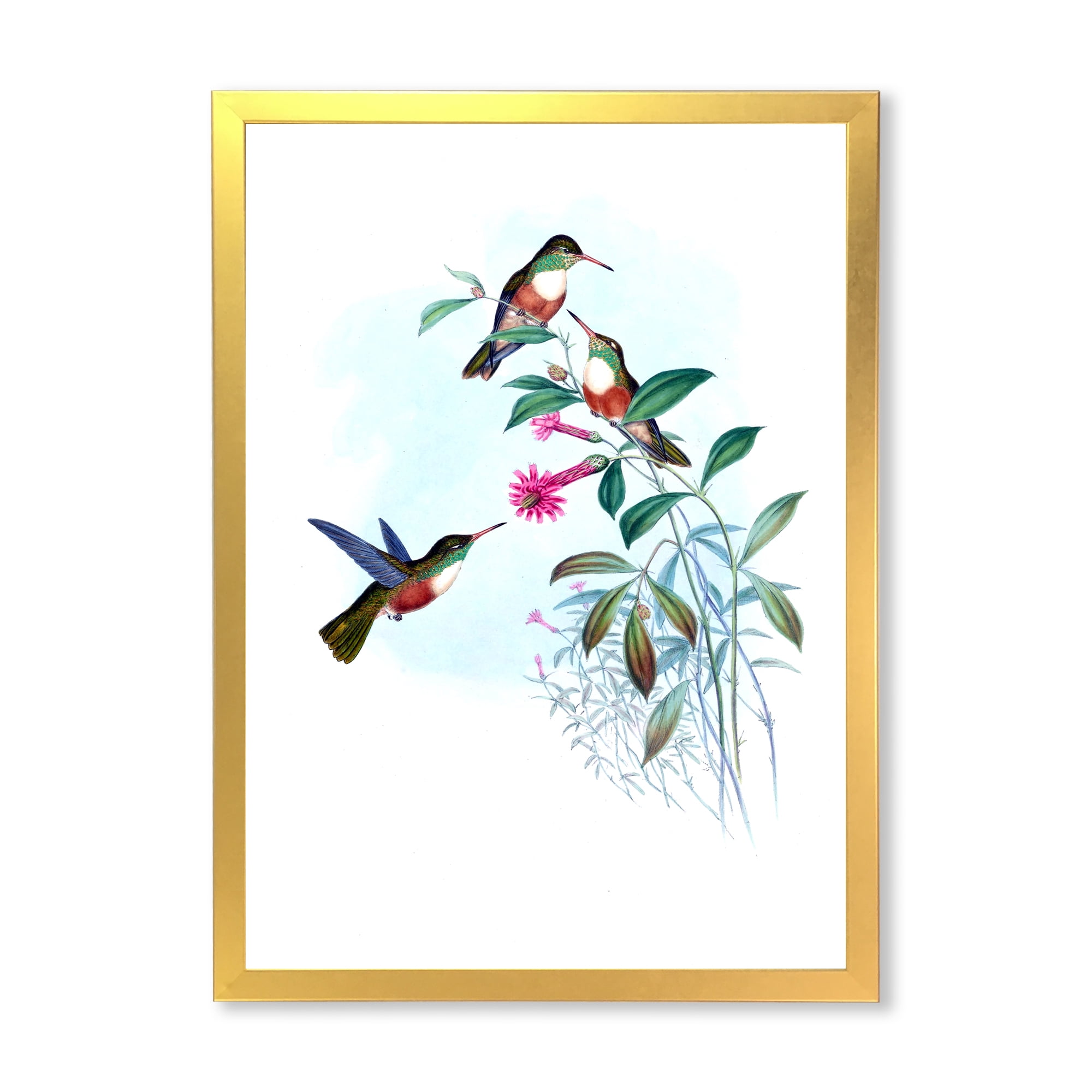 Designart 'Ancient Hummingbird IV' Traditional Framed Art Print