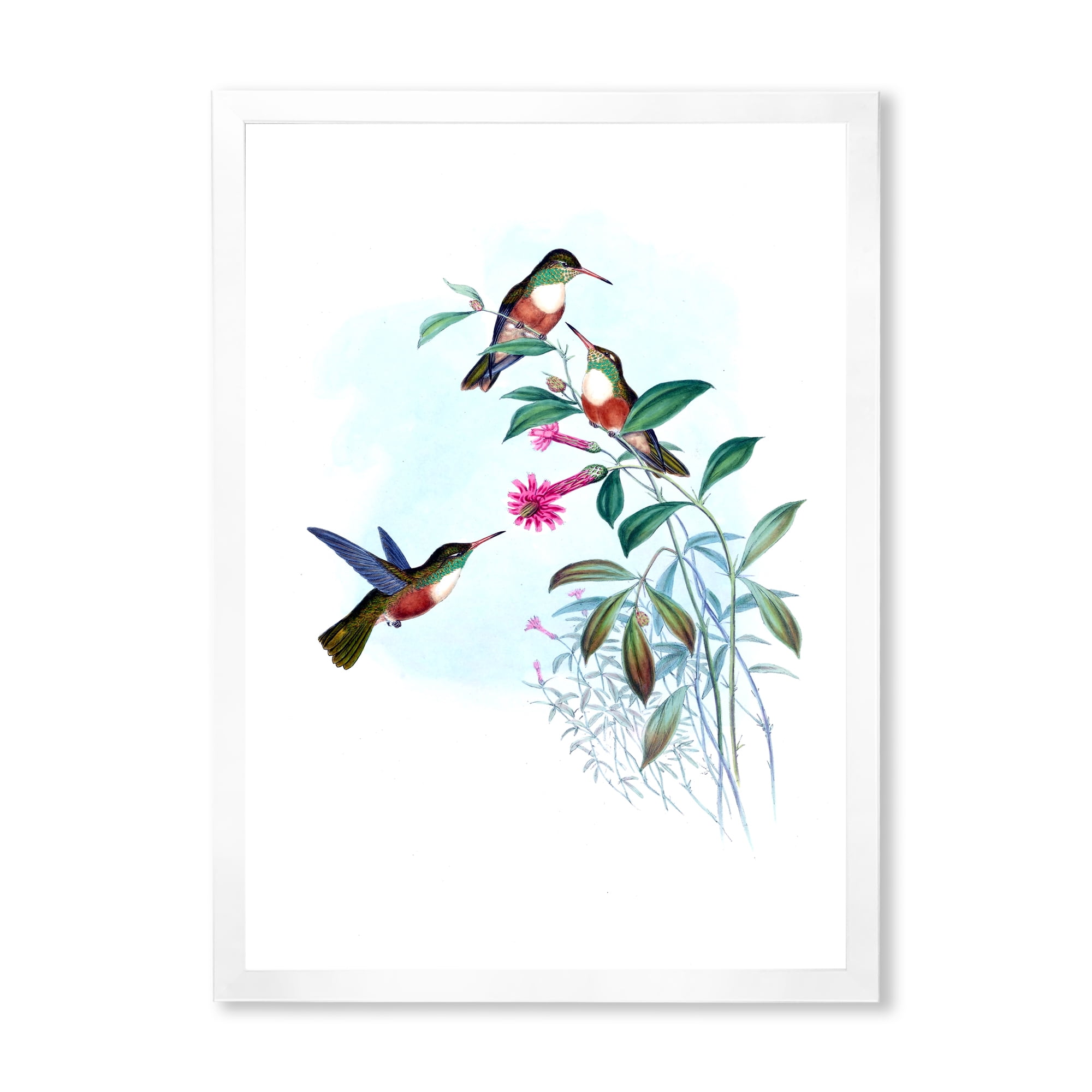 Designart 'Ancient Hummingbird IV' Traditional Framed Art Print