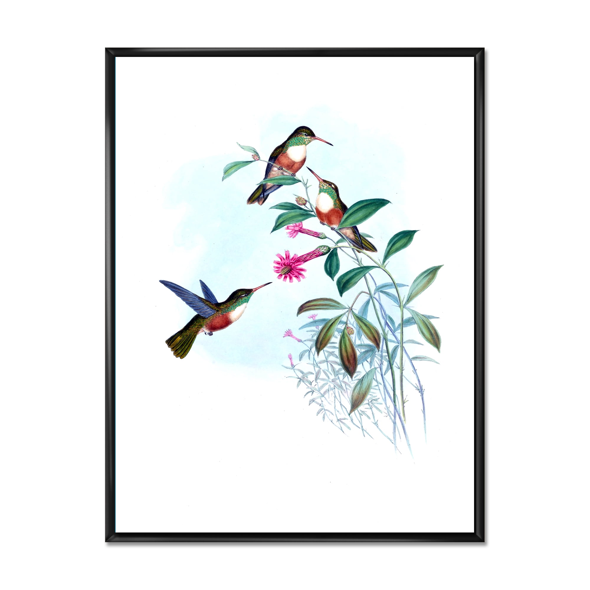 Designart 'Ancient Hummingbird IV' Traditional Framed Canvas Wall Art Print