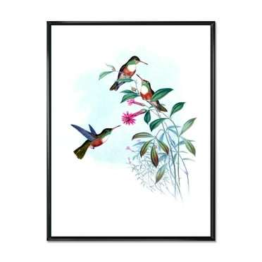 Designart 'Ancient Hummingbird IV' Traditional Framed Canvas Wall Art Print