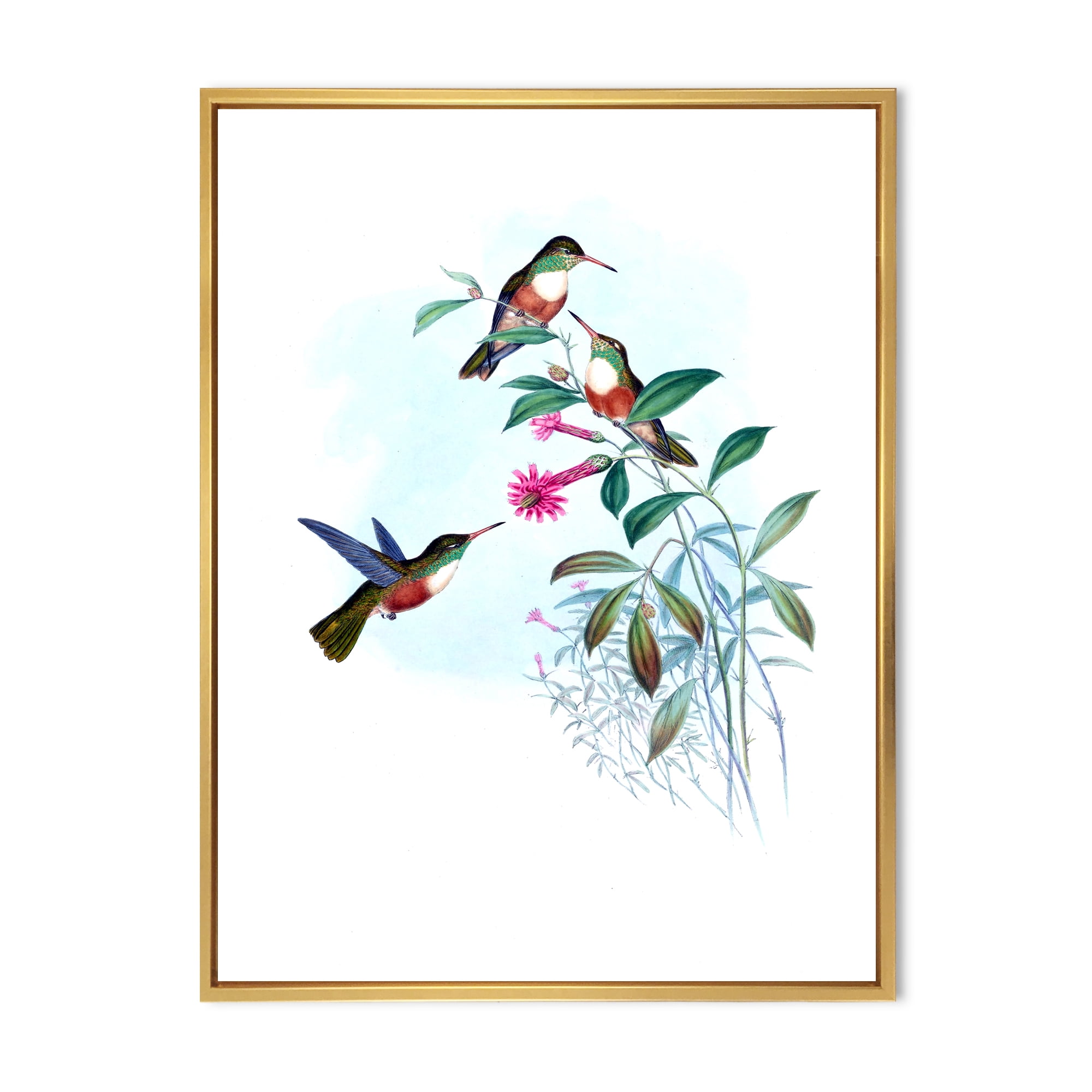 Designart 'Ancient Hummingbird IV' Traditional Framed Canvas Wall Art Print