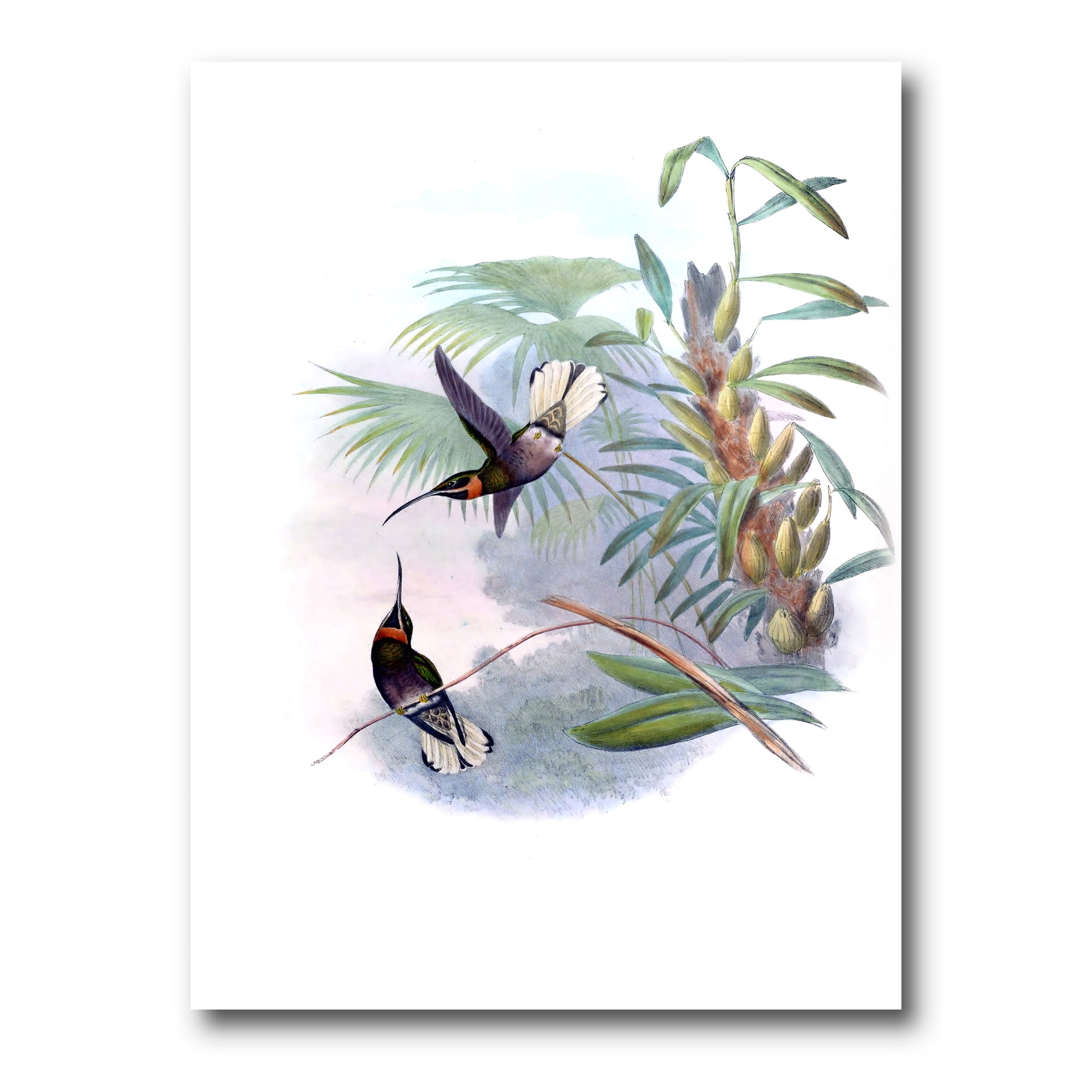 Vintage Blue Hummingbird Canvas Wall Art with Wood Frame