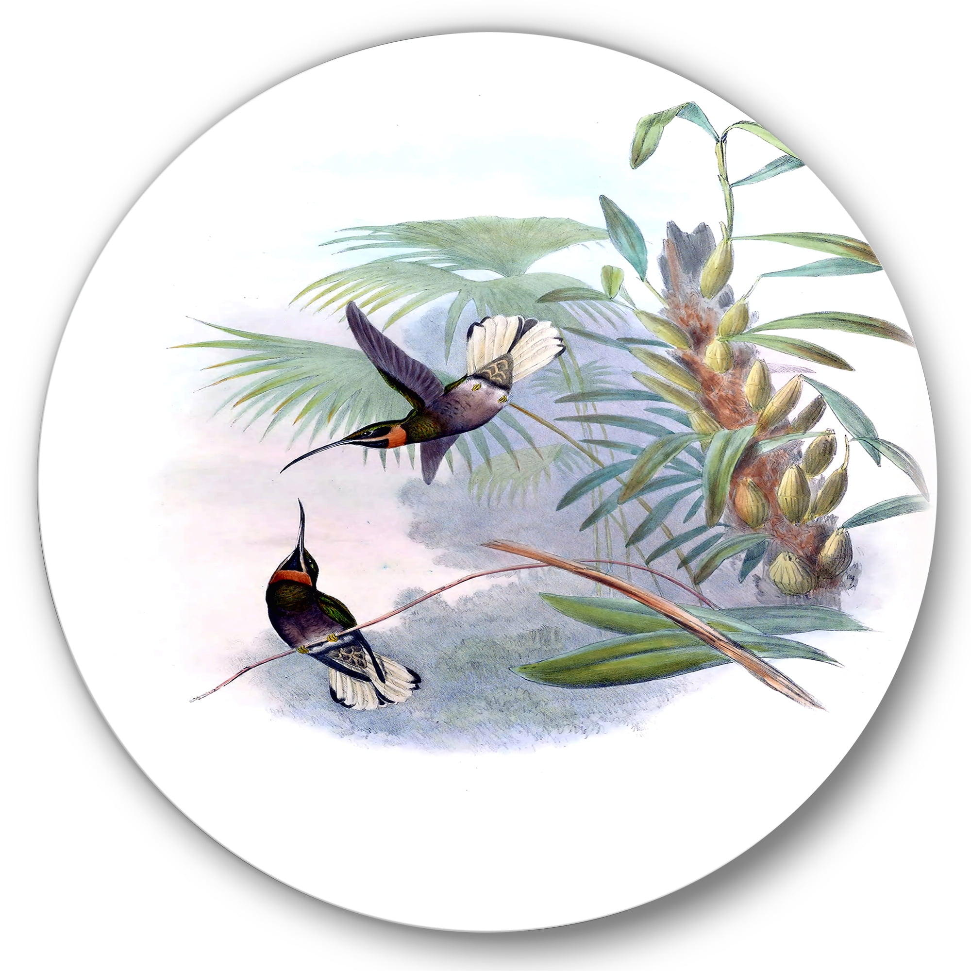 Designart 'Ancient Hummingbird On A Branch' Traditional Circle Metal Wall Art 29x29 - Disc of 29