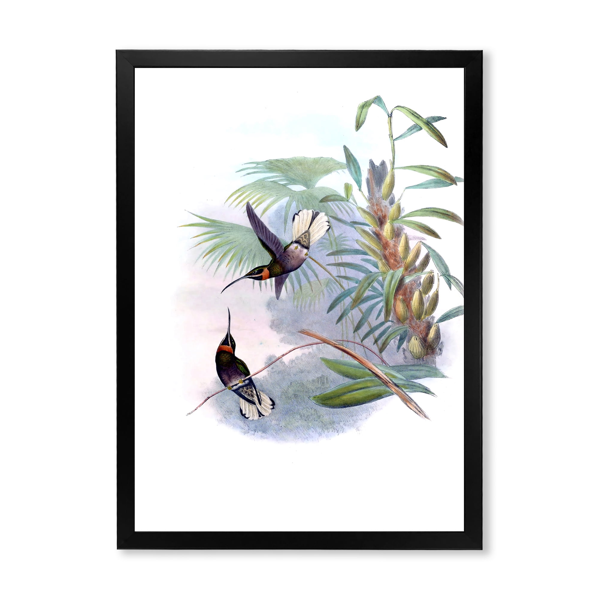 Designart 'Ancient Hummingbird On A Branch' Traditional Framed Art Print