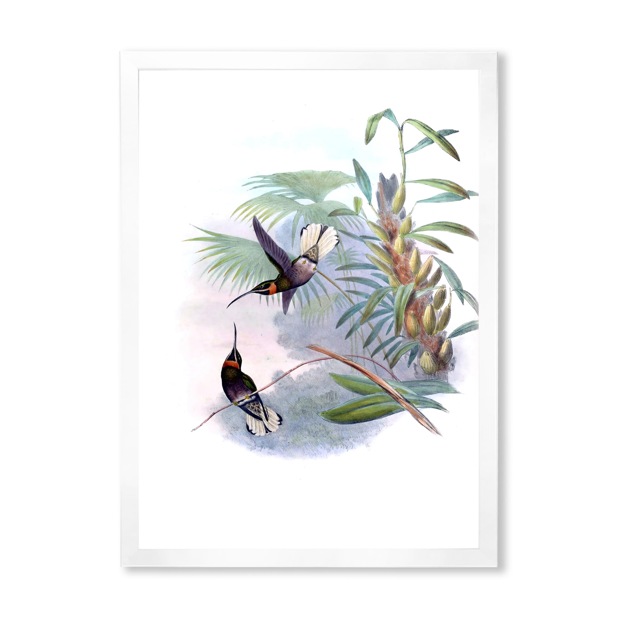 Designart 'Ancient Hummingbird On A Branch' Traditional Framed Art Print