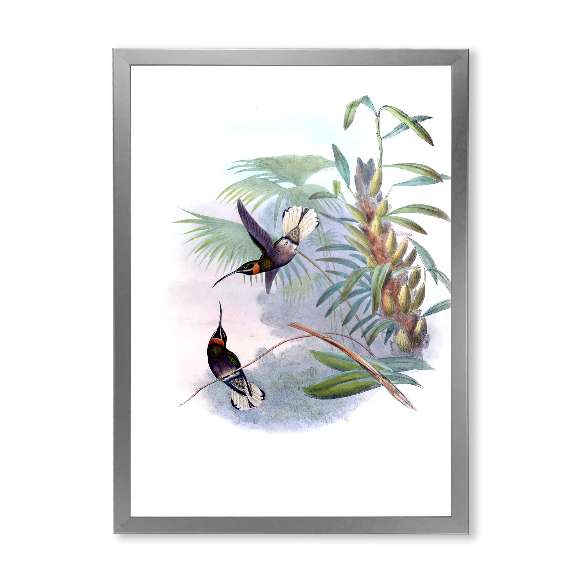 Designart 'Ancient Hummingbird On A Branch' Traditional Framed Art Print