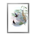 thumbnail image 1 of Designart 'Ancient Hummingbird On A Branch' Traditional Framed Art Print, 1 of 4