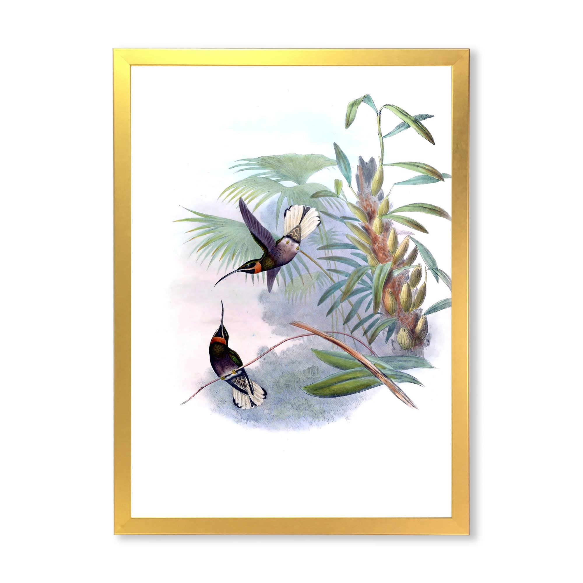 Designart 'Ancient Hummingbird On A Branch' Traditional Framed Art Print