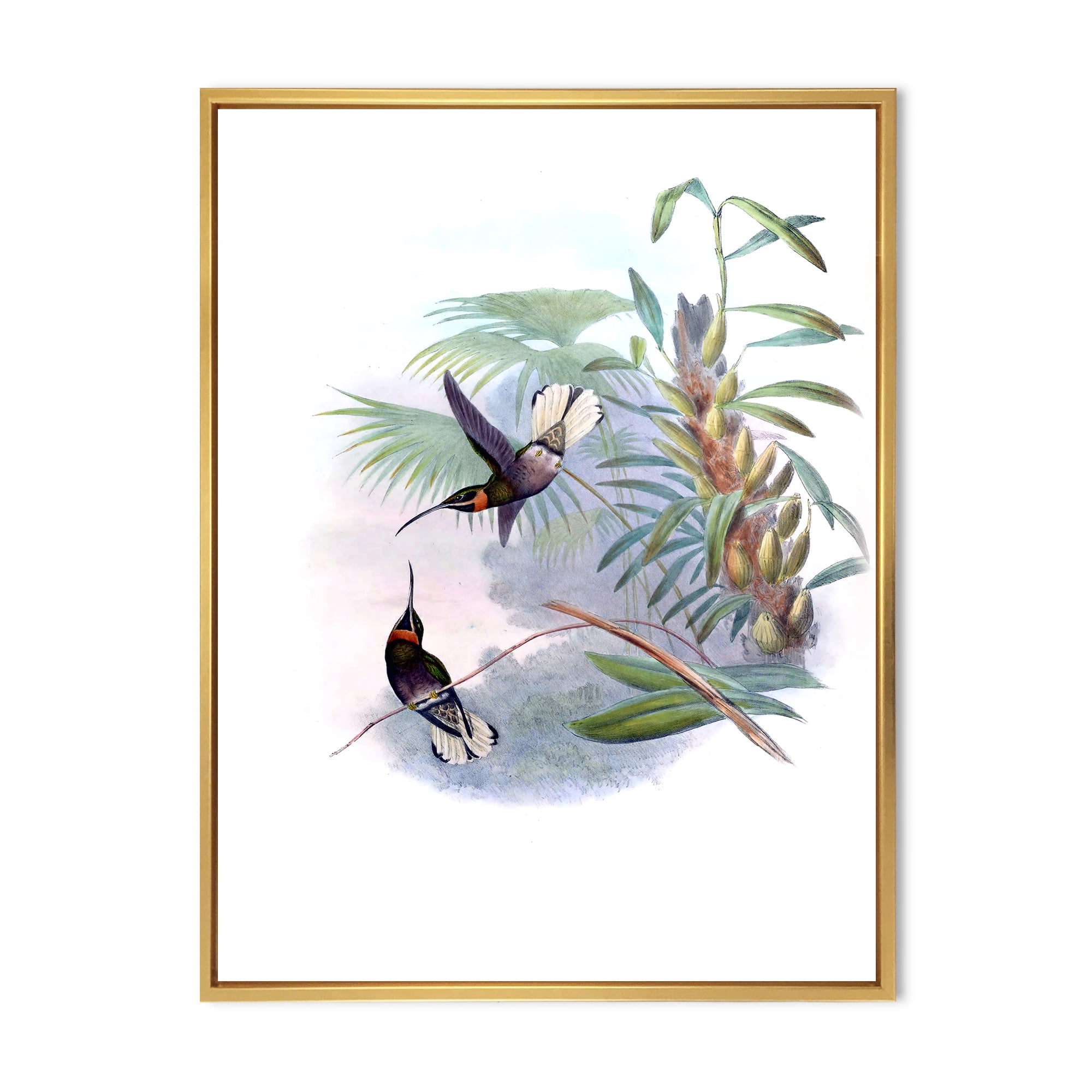 Designart 'Ancient Hummingbird On A Branch' Traditional Framed Canvas Wall Art Print