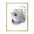 thumbnail image 1 of Designart 'Ancient Hummingbird On A Branch' Traditional Framed Canvas Wall Art Print, 1 of 5