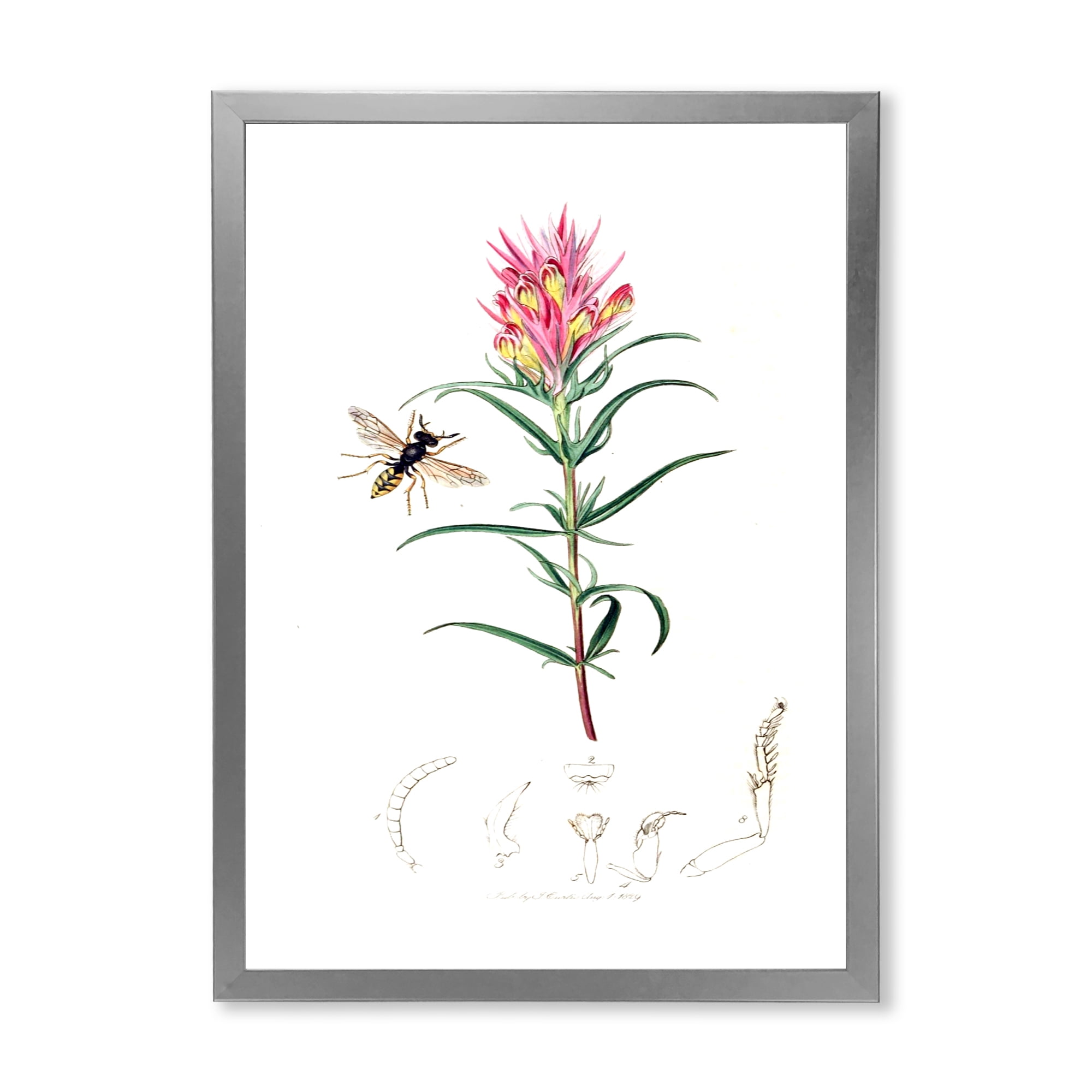 Designart 'Ancient Insects and Plants I' Farmhouse Framed Art Print