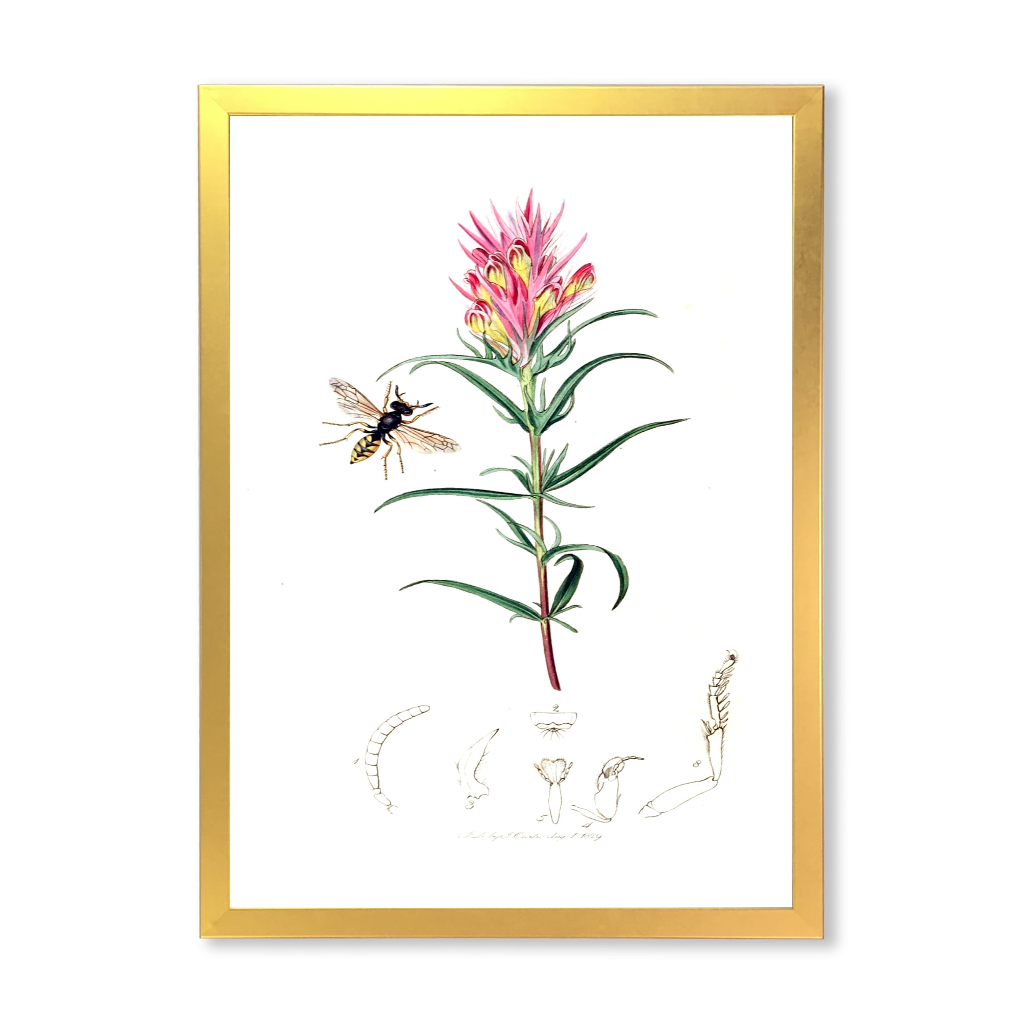 Designart 'Ancient Insects and Plants I' Farmhouse Framed Art Print