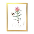 thumbnail image 1 of Designart 'Ancient Insects and Plants I' Farmhouse Framed Art Print, 1 of 4