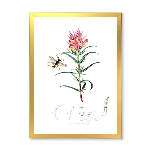 Designart 'Ancient Insects and Plants I' Farmhouse Framed Art Print