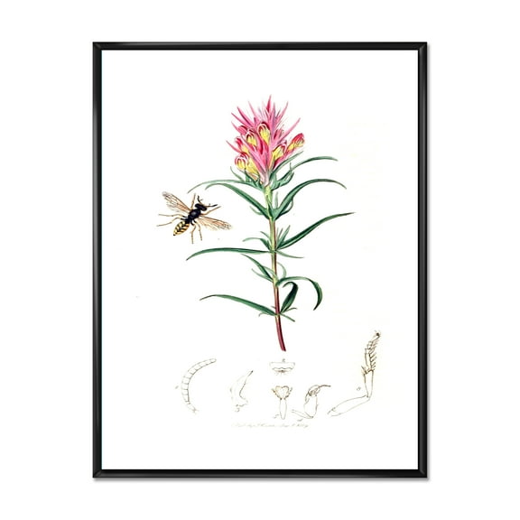 Designart 'Ancient Insects and Plants I' Farmhouse Framed Canvas Wall Art Print