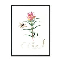Designart 'Ancient Insects and Plants I' Farmhouse Framed Canvas Wall Art Print