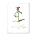 thumbnail image 1 of Designart 'Ancient Insects and Plants II' Farmhouse Framed Art Print, 1 of 4